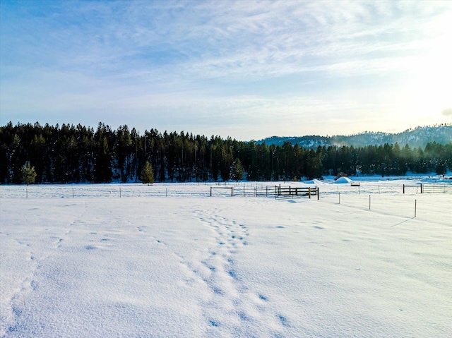view of yard with a forest view