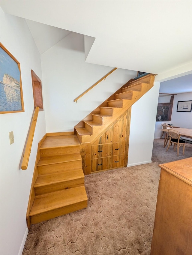 staircase with carpet flooring