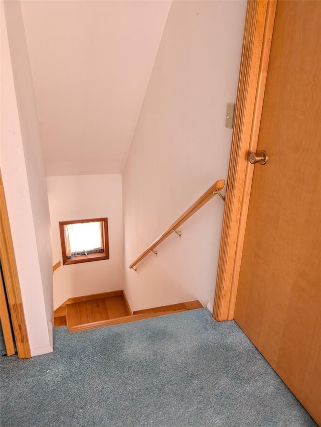 staircase featuring vaulted ceiling and carpet flooring