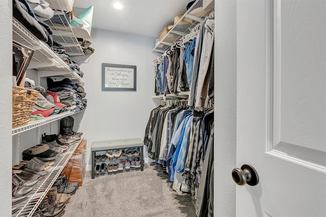 spacious closet with carpet