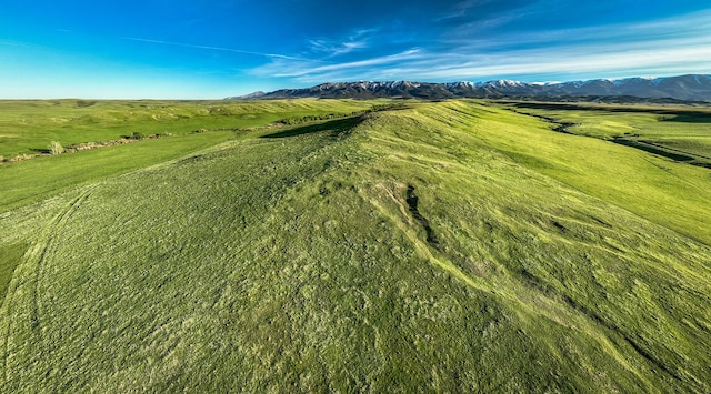 birds eye view of property featuring a mountain view