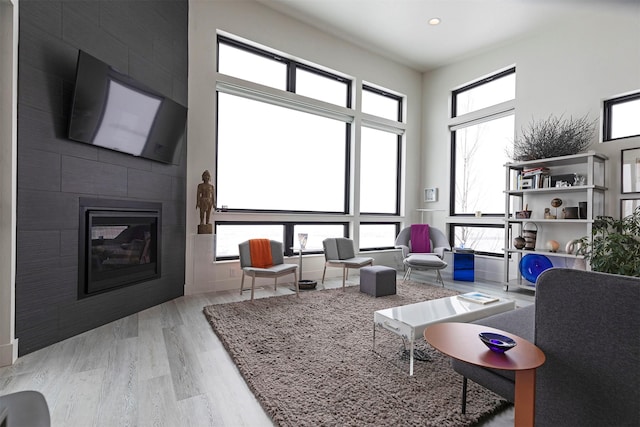 living room with a fireplace and light hardwood / wood-style floors