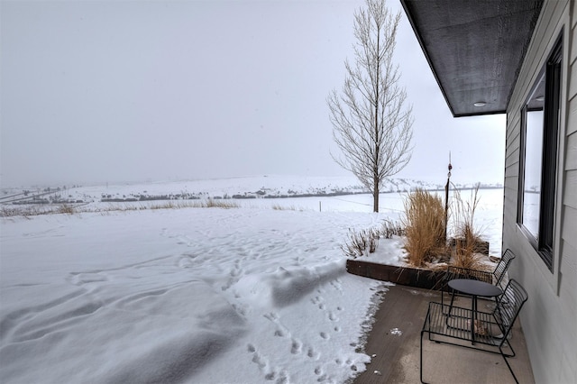 view of snowy yard