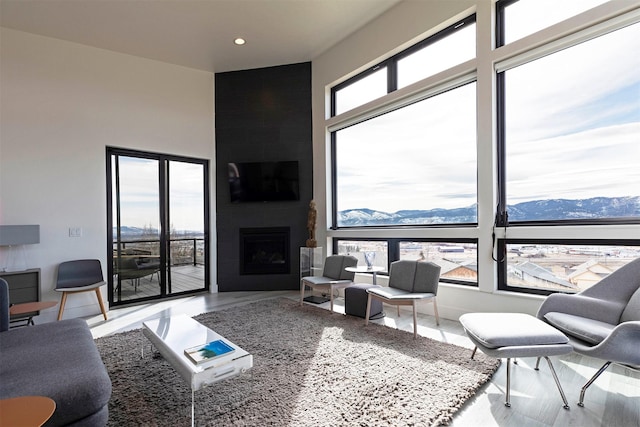 living area with a large fireplace