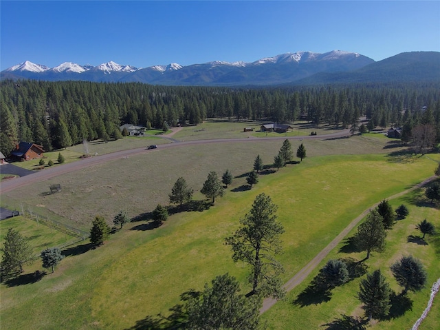 1182 Golf View Dr, Seeley Lake, MT 59868