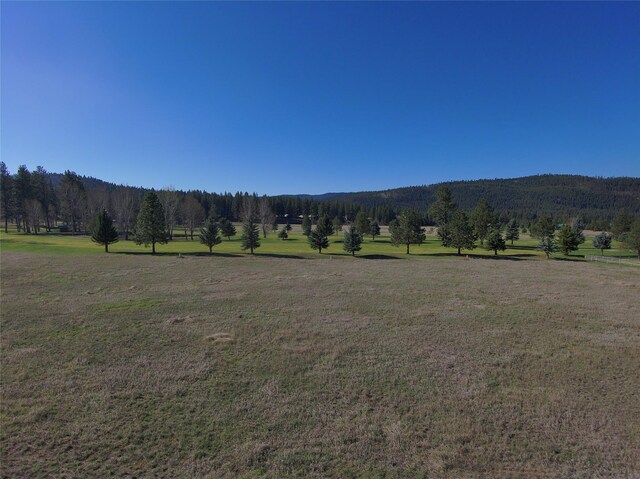 1182 Golf View Dr, Seeley Lake, MT 59868