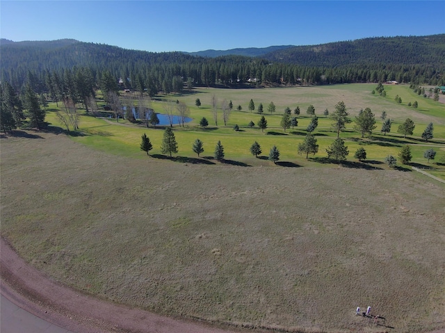 1182 Golf View Dr, Seeley Lake, MT 59868