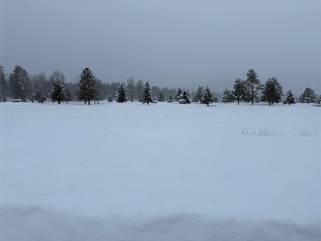 1182 Golf View Dr, Seeley Lake, MT 59868