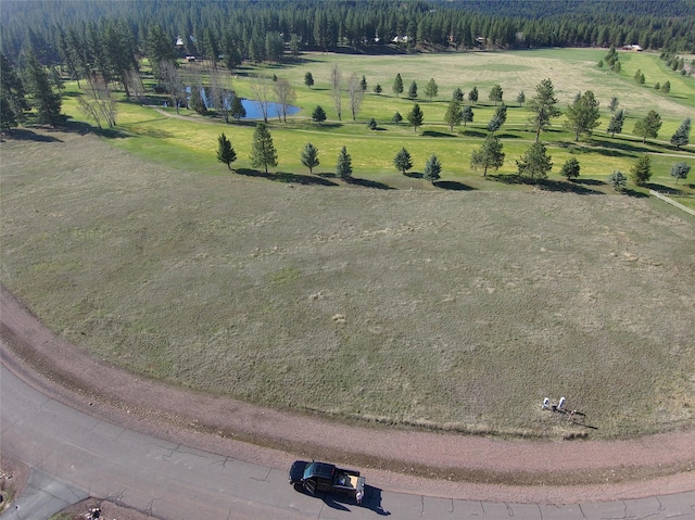 1182 Golf View Dr, Seeley Lake, MT 59868