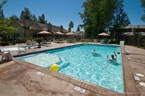 view of swimming pool with a patio