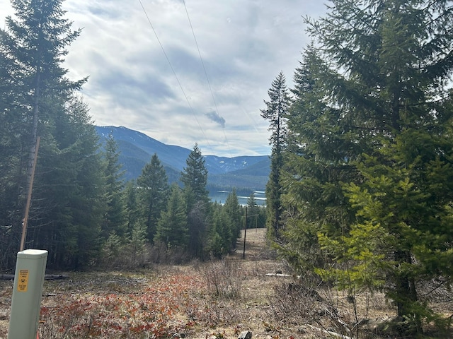 5 Red Fir Ln, Noxon, MT 59853