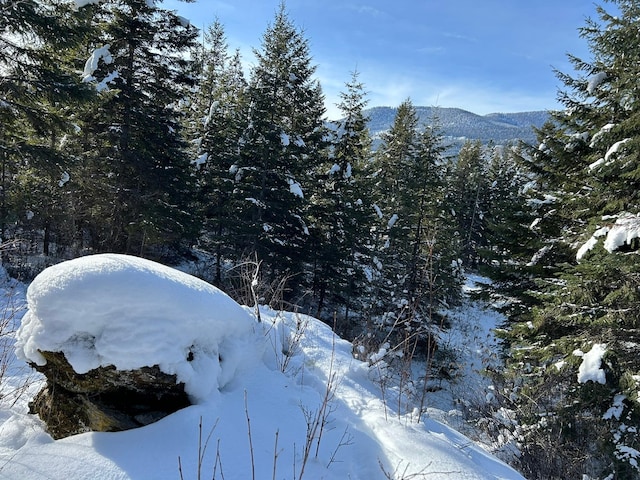 5 Red Fir Ln, Noxon, MT 59853