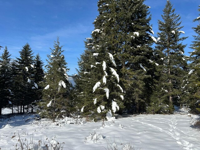 5 Red Fir Ln, Noxon, MT 59853