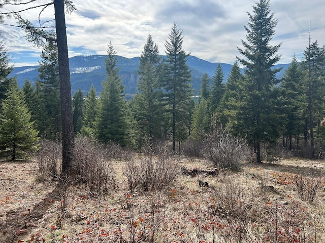5 Red Fir Ln, Noxon, MT 59853