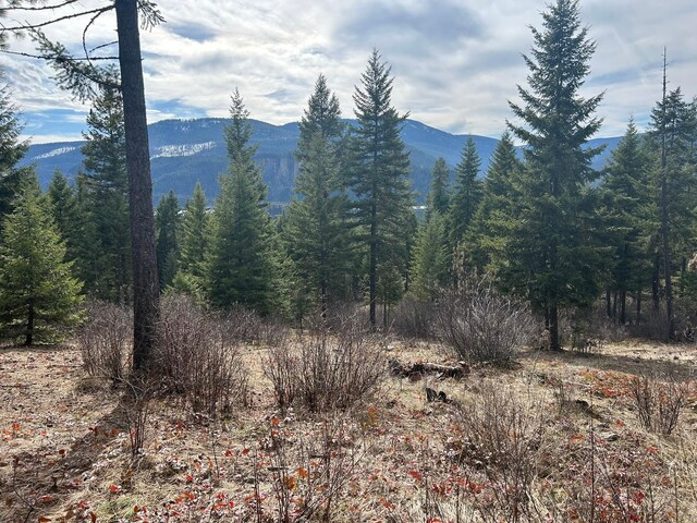 5 Red Fir Ln, Noxon, MT 59853