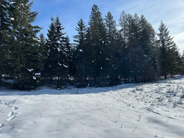 5 Red Fir Ln, Noxon, MT 59853
