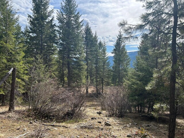 5 Red Fir Ln, Noxon, MT 59853