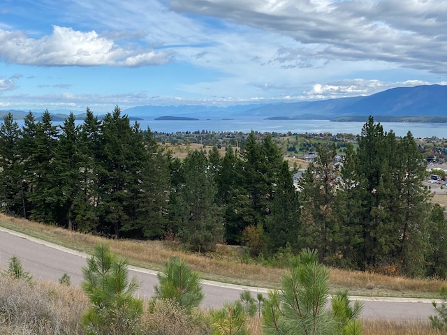 101 Southlake Crst, Polson MT, 59860 land for sale