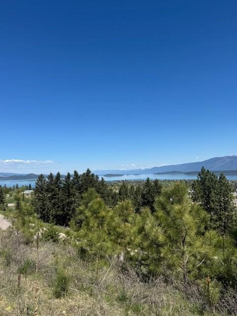 101 Southlake Crst, Polson, MT 59860
