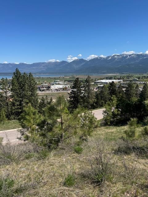 101 Southlake Crst, Polson, MT 59860
