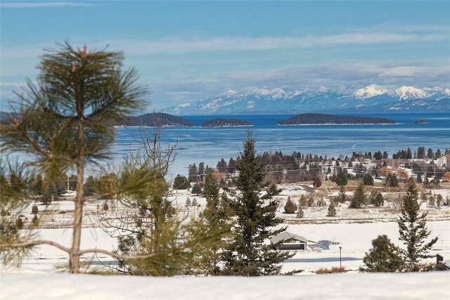 101 Southlake Crst, Polson, MT 59860