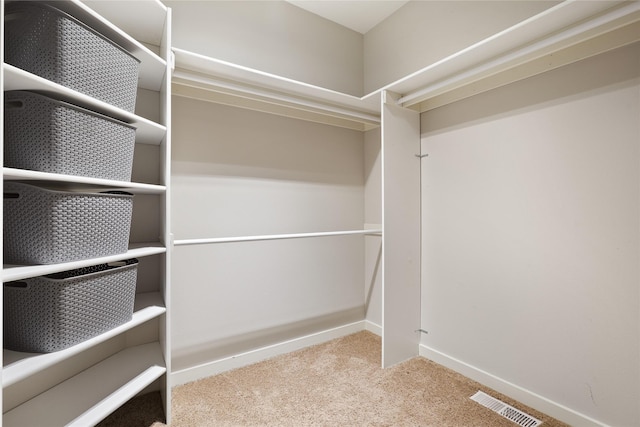 spacious closet with light carpet