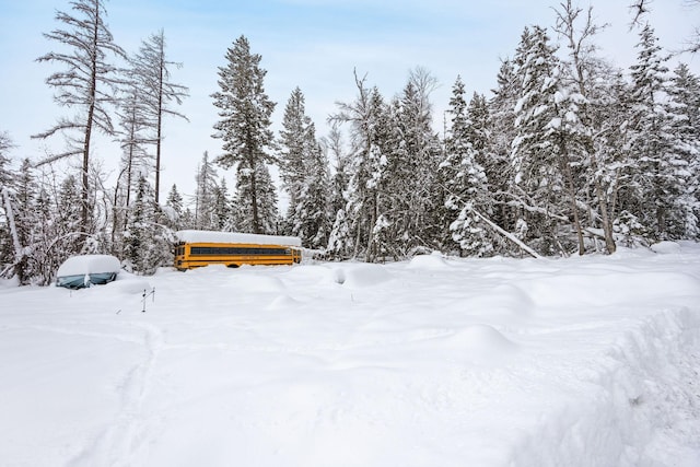 view of yard layered in snow