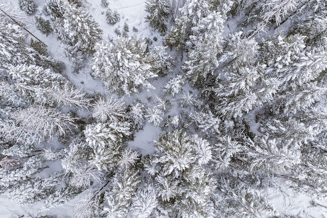 view of snowy aerial view