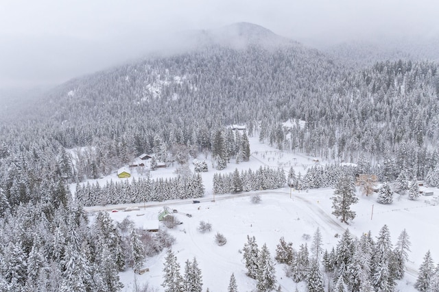 snowy aerial view featuring a mountain view