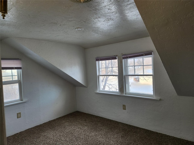 additional living space with a textured ceiling, carpet floors, vaulted ceiling, and a healthy amount of sunlight