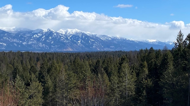 126 Soaring Eagle Dr, Whitefish, MT 59937 - view of mountain feature with a wooded view