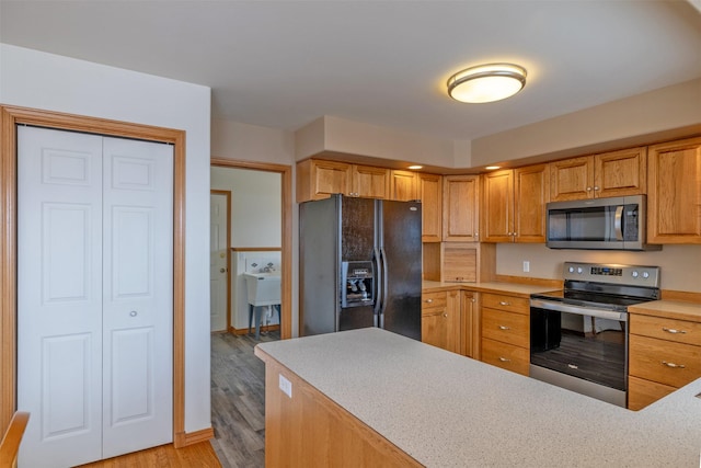 kitchen featuring light wood-type flooring and stainless steel appliances