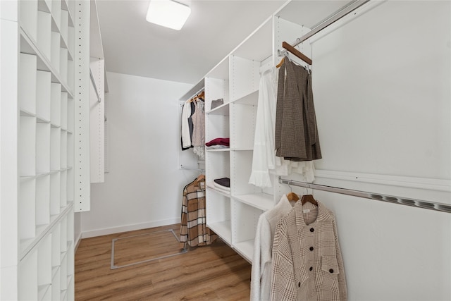 spacious closet featuring light wood-type flooring