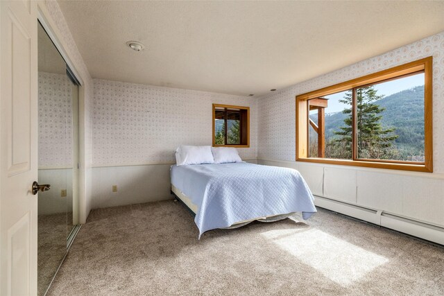 21 Barnes Ln, Noxon, MT 59853 - bedroom featuring baseboard heating, a closet, carpet, and a mountain view