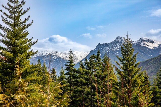 21 Barnes Ln, Noxon, MT 59853 - mountain view