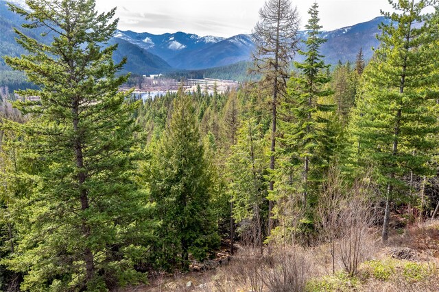 21 Barnes Ln, Noxon, MT 59853 - mountain view