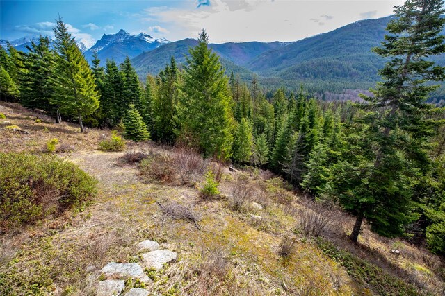 21 Barnes Ln, Noxon, MT 59853 - mountain view