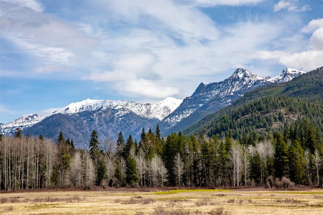 21 Barnes Ln, Noxon, MT 59853 - mountain view