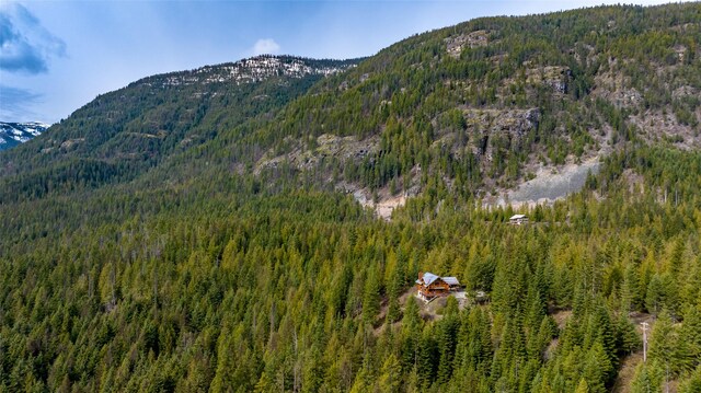 21 Barnes Ln, Noxon, MT 59853 - view of mountain feature
