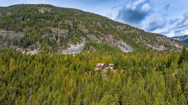 21 Barnes Ln, Noxon, MT 59853 - property view of mountains