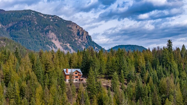 21 Barnes Ln, Noxon, MT 59853 - mountain view