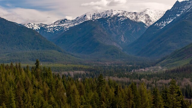 21 Barnes Ln, Noxon, MT 59853 - property view of mountains