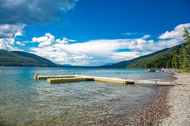 dock area with a water and mountain view