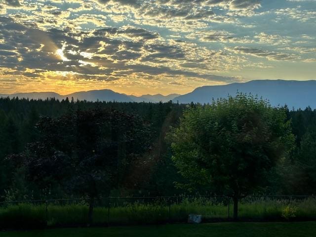 property view of mountains with a forest view