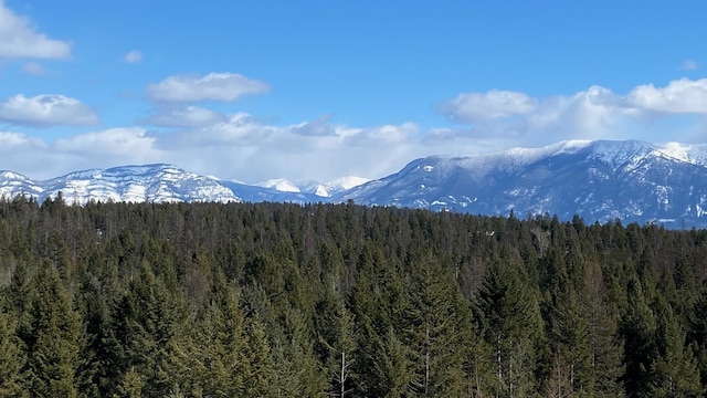 view of mountain feature with a view of trees