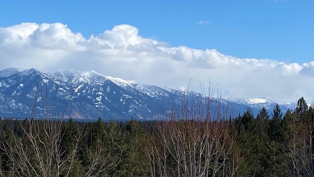 property view of mountains with a wooded view