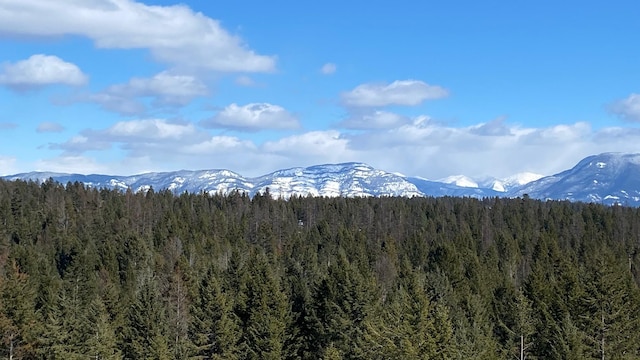 property view of mountains featuring a view of trees