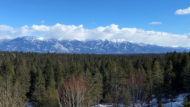 view of mountain feature featuring a wooded view