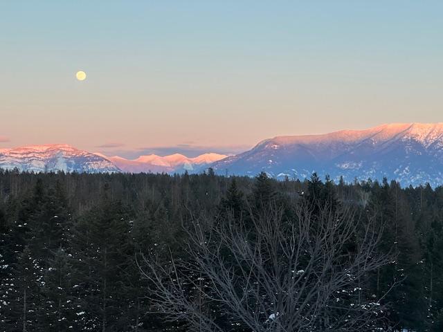 view of mountain feature with a wooded view