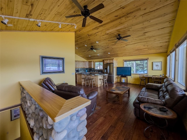 living area with high vaulted ceiling, dark wood-type flooring, rail lighting, and wood ceiling